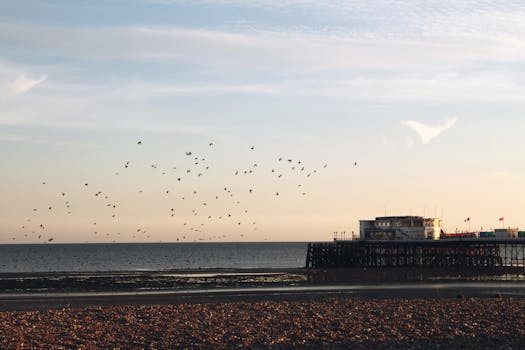 Who Is TunnelBear Best For?